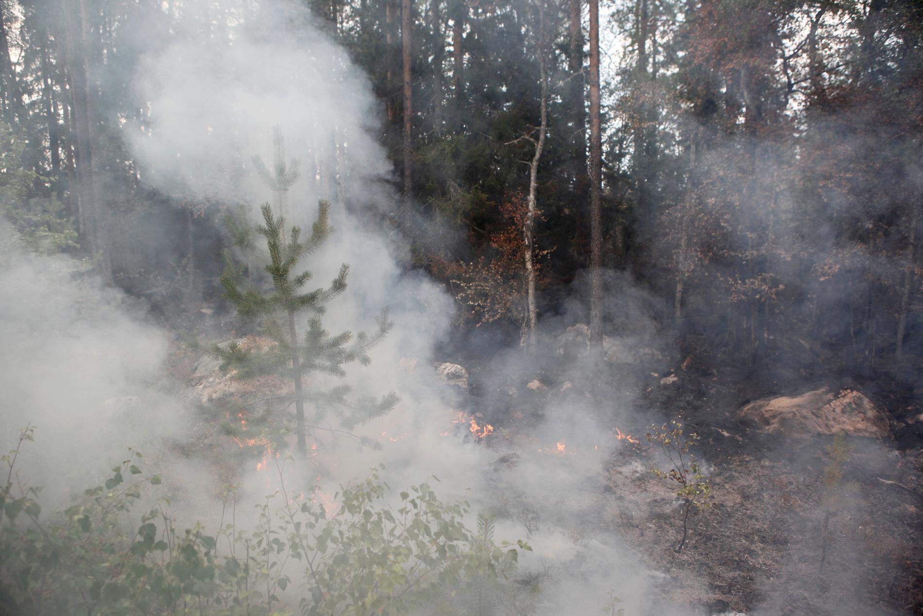 Pyrande rök vid skogsbrand nära Ängra i Ljusdals kommun.