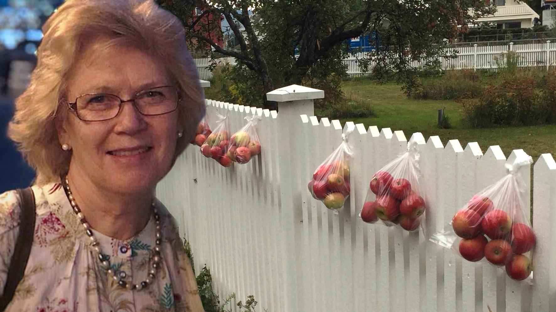 Inger Garås i norska Mjøndalen ger bort äpplen i påsar på staketet.