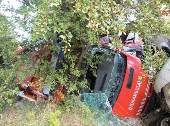 Djurambulansen slungades av vägen när lastbilen körde rakt in i den på vägrenen på E 6:an utanför Helsingborg 12 september 2014.