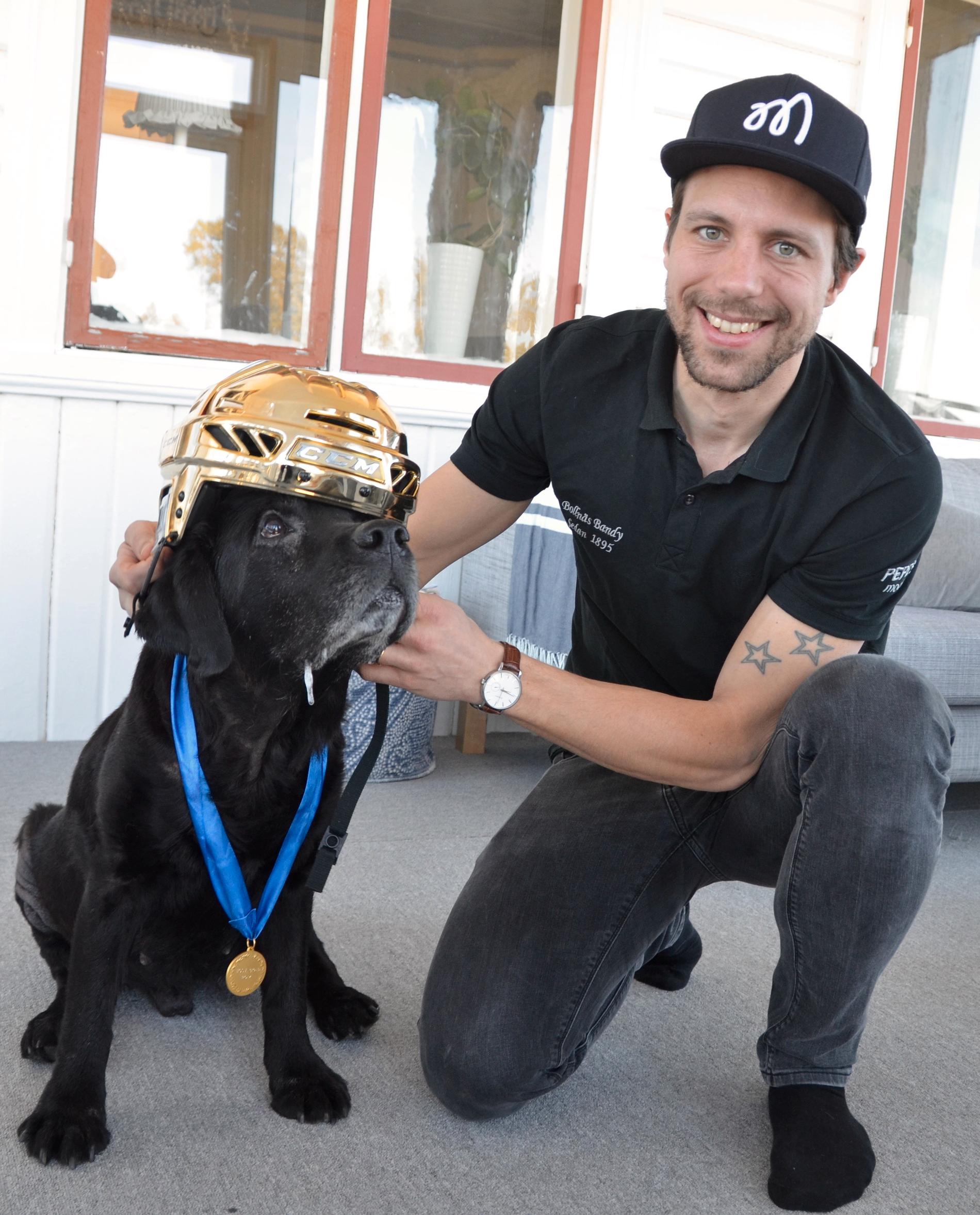 Per Hellmyrs klär upp labradoren Tjabo inför SM-finalen mellan Bollnäs och Edsbyn.