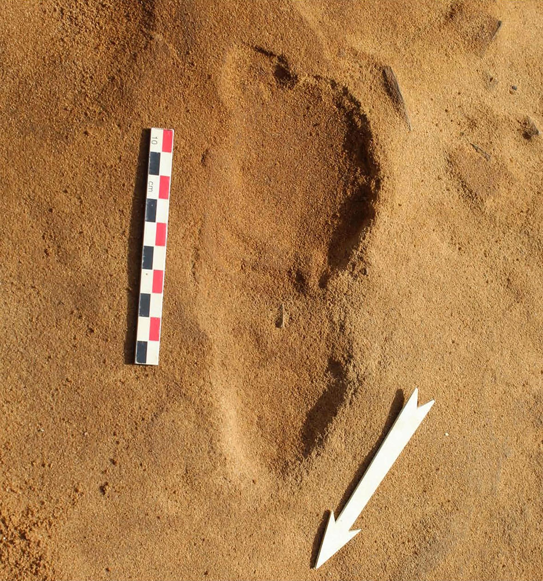 I 80 000 år har detta fotavtryck från en neandertalare, som var mer bredfotad än vi, bevarats i sanden i Normandie där det nu har upptäckts tillsammans med 256 andra avtryck.