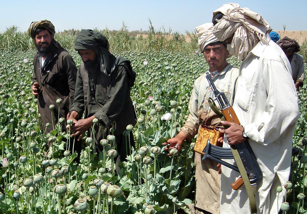 En taliban, till höger, tillsammans med bönder på ett opiumvallmofält i provinsen Helmand i Afghanistan. Arkivbild.
