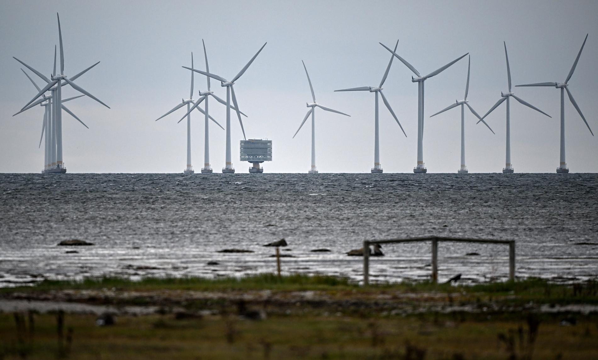Regeringen går vidare med planer på havsbaserad vindkraft utanför Öland och Göteborg. Arkivbild på vindkraftverk utanför Bunkeflostrand.
