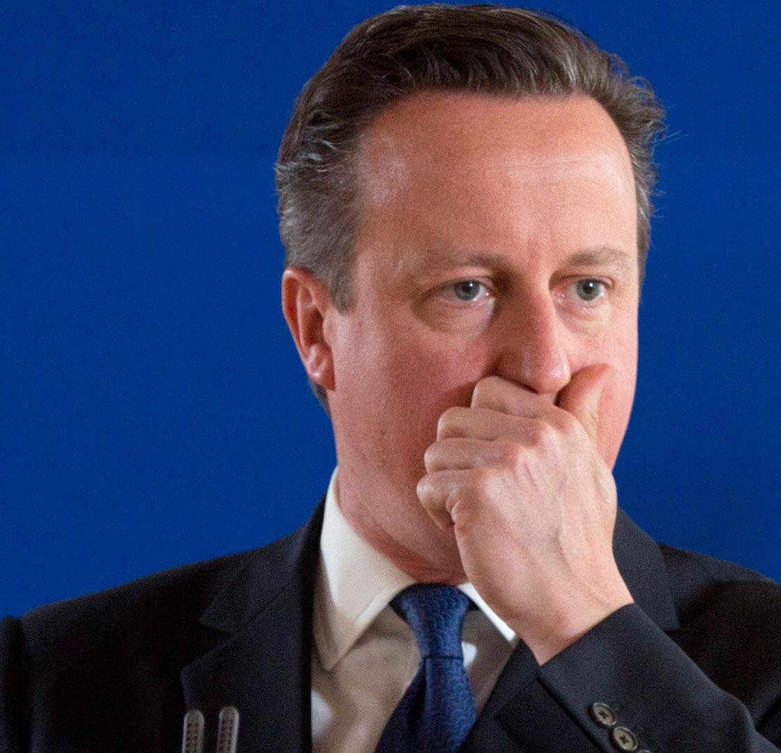 David Cameron leder ja till EU-kampanjen.