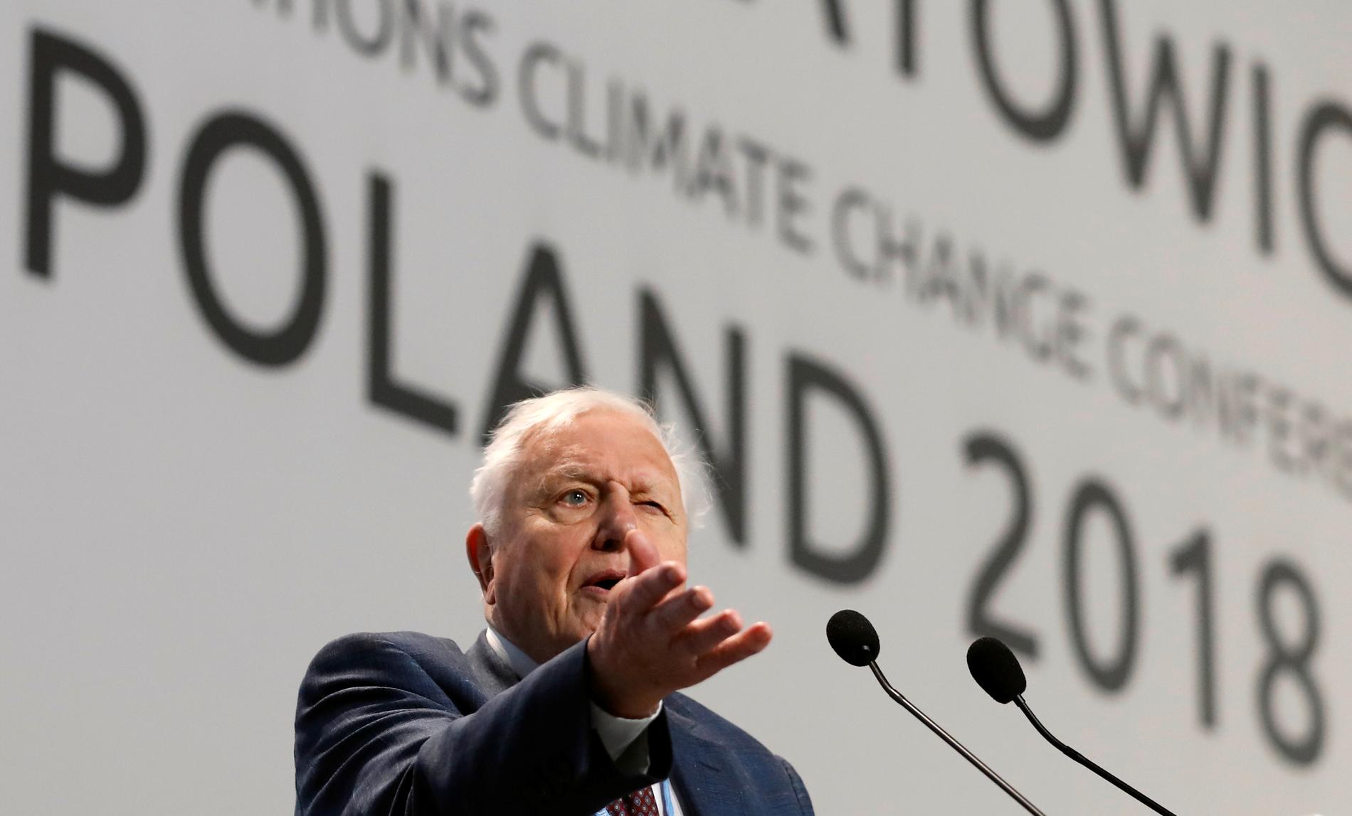 Sir David Attenborough höll ett brandtal under FN:s klimatmöte i Polen. ”Om vi inte agerar kommer vår civilisation att kollapsa”, sa han.