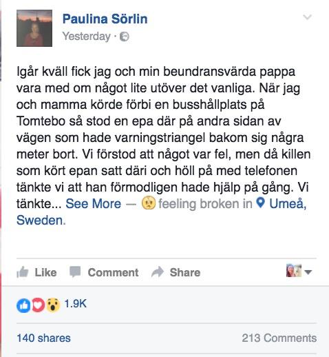 Paulina skrev om händelsen på sin Facebooksida.