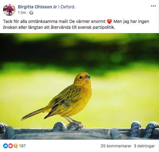 Birgitta Ohlssons Facebook-inlägg.
