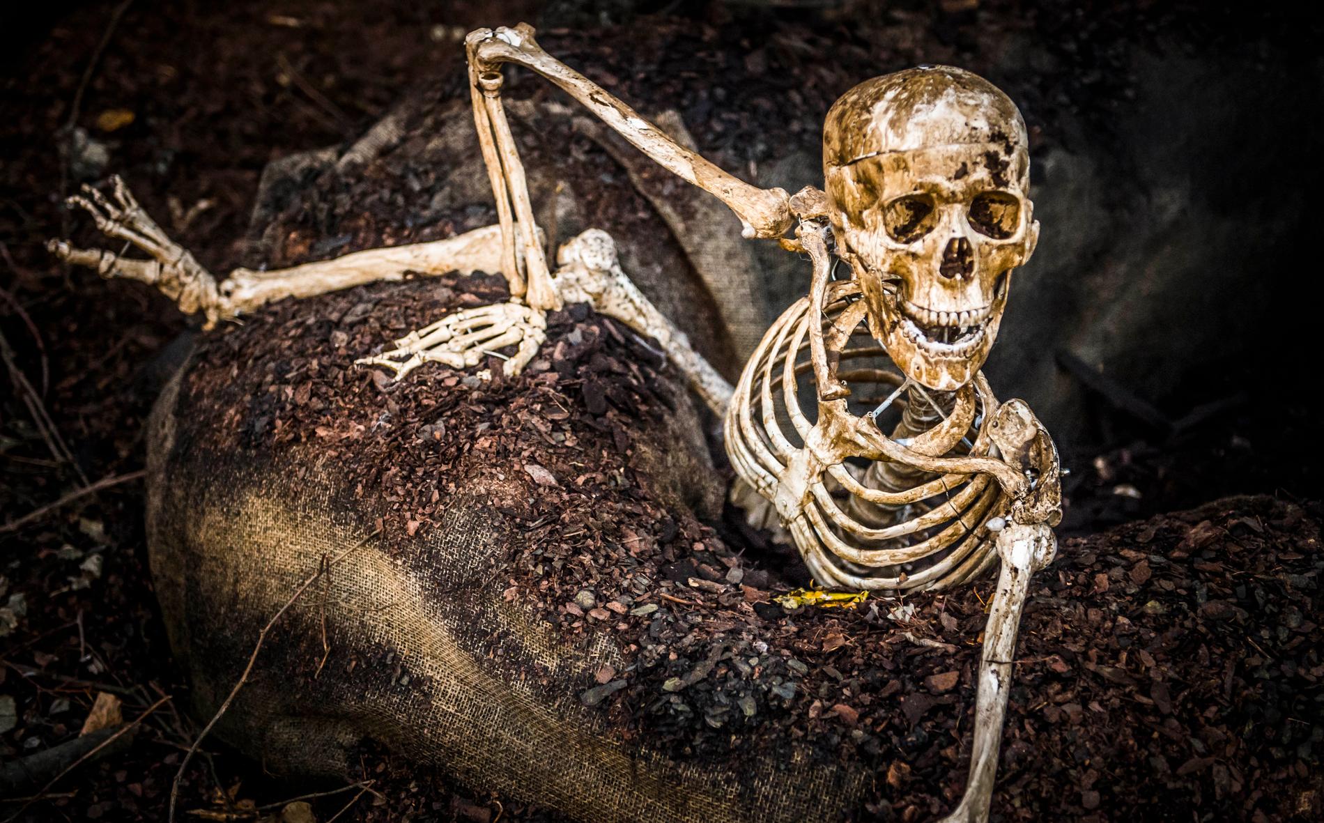 Ett helt annat skelett som inte har med fyndet i Storvreta att göra. Arkivbild.
