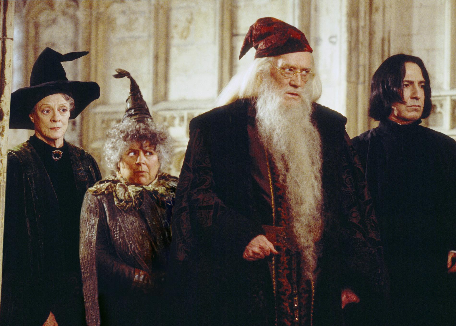 Miriam Margolyes i sin roll som Professor Sprout i Harry Potter. 