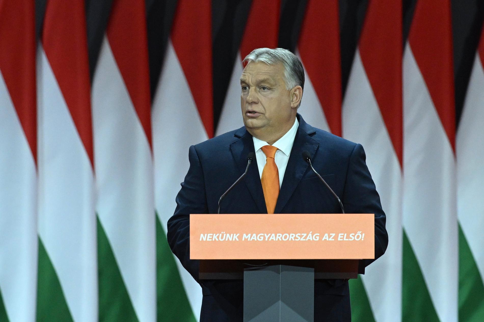 Ungerns premiärminister Viktor Orbán talar till regeringspartiet Fidesz på en kongress i november. Arkivfoto.