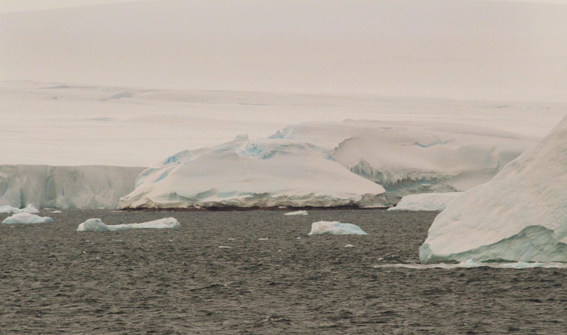 Den nyupptäckta ön ligger i Pine Island Bay, i Amundsenhavet. Istäcket har dolt den från satelliter.