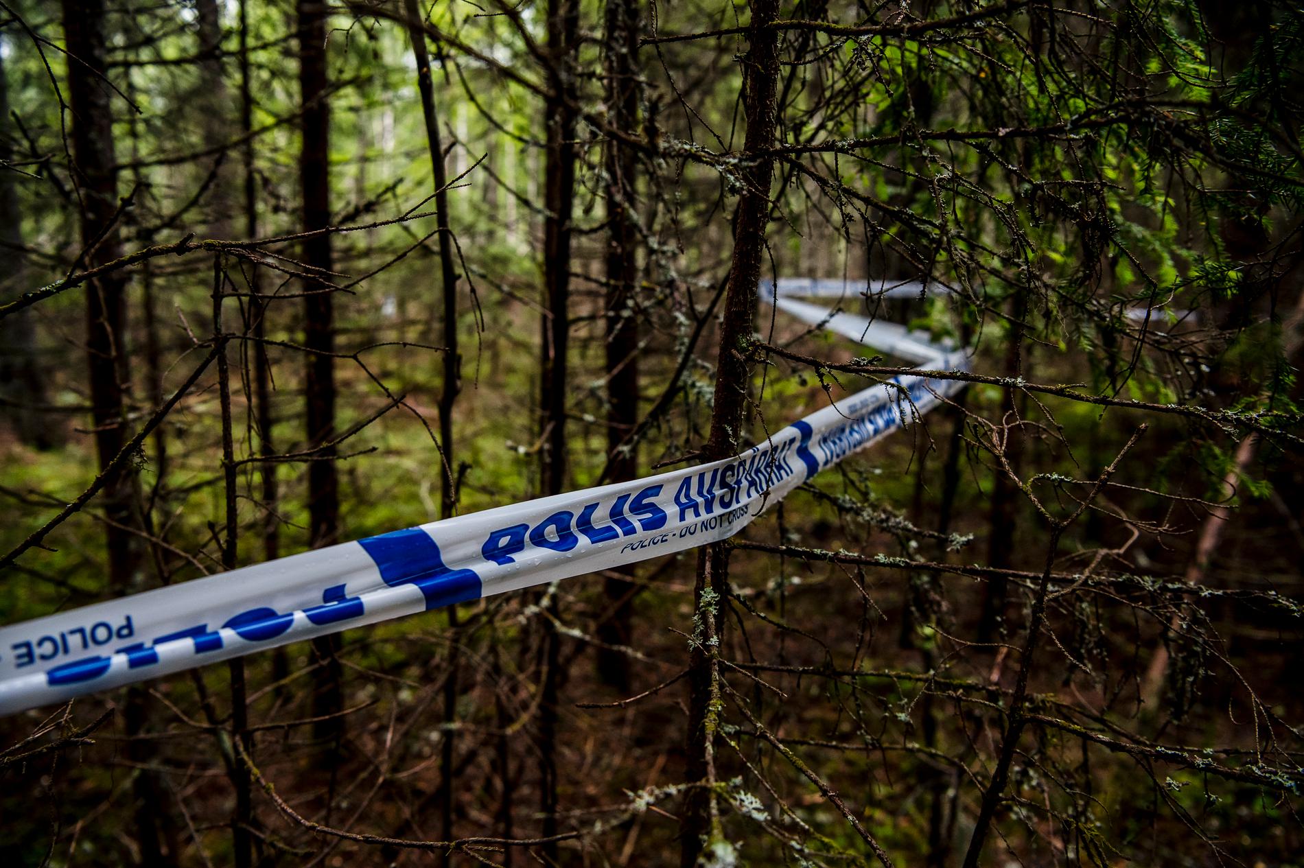 Polisavspärrningar i skogen kring platsen där planet störtade.