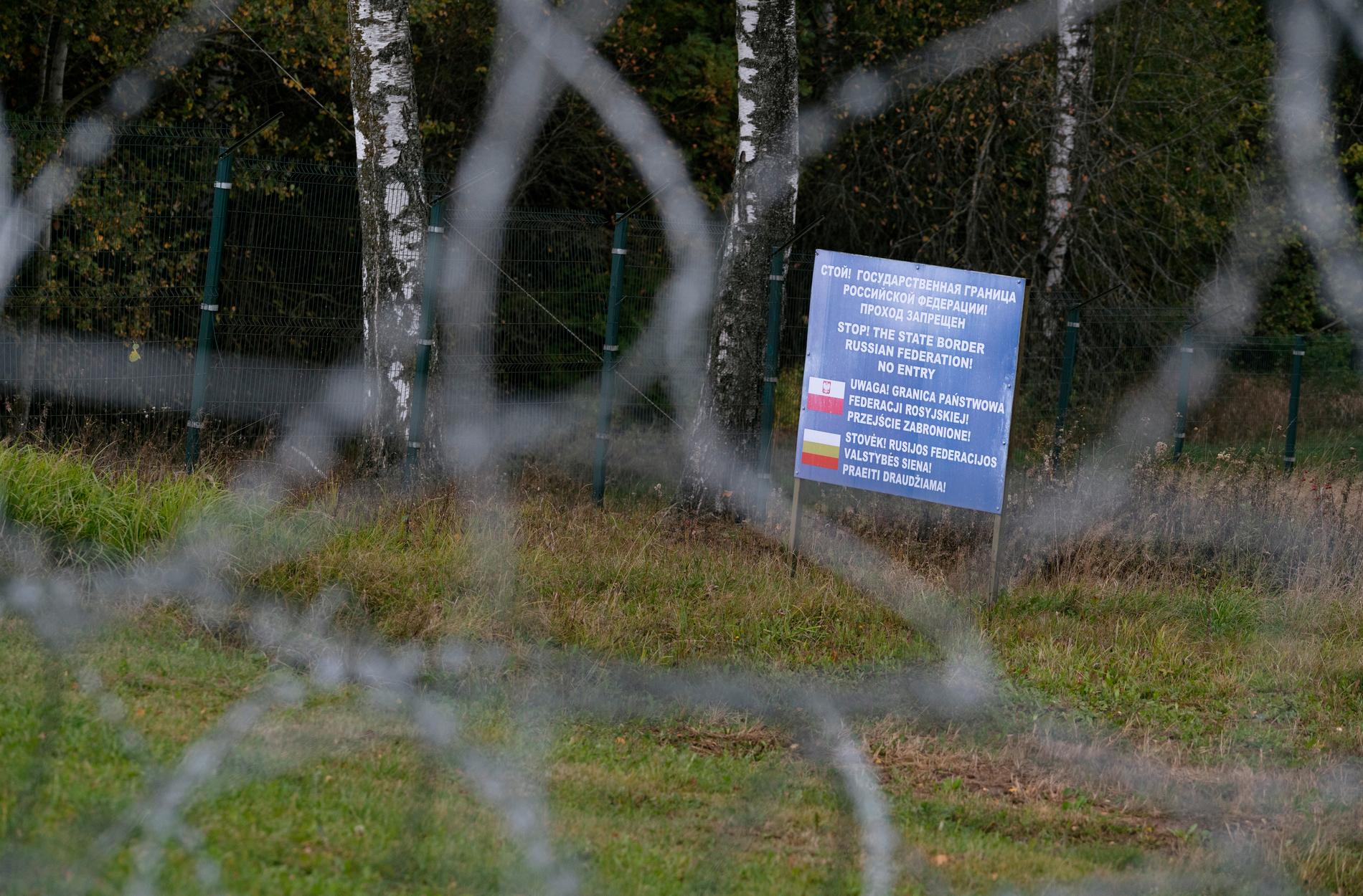 Taggtrådsstängsel vid gränsen mellan Polen och Kaliningrad.