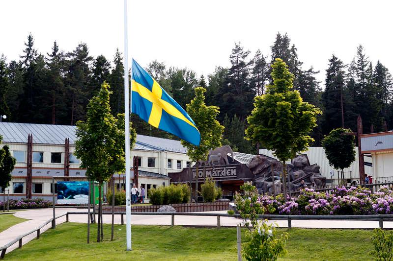 Flaggan hängde på halv stång på Kolmården i går.