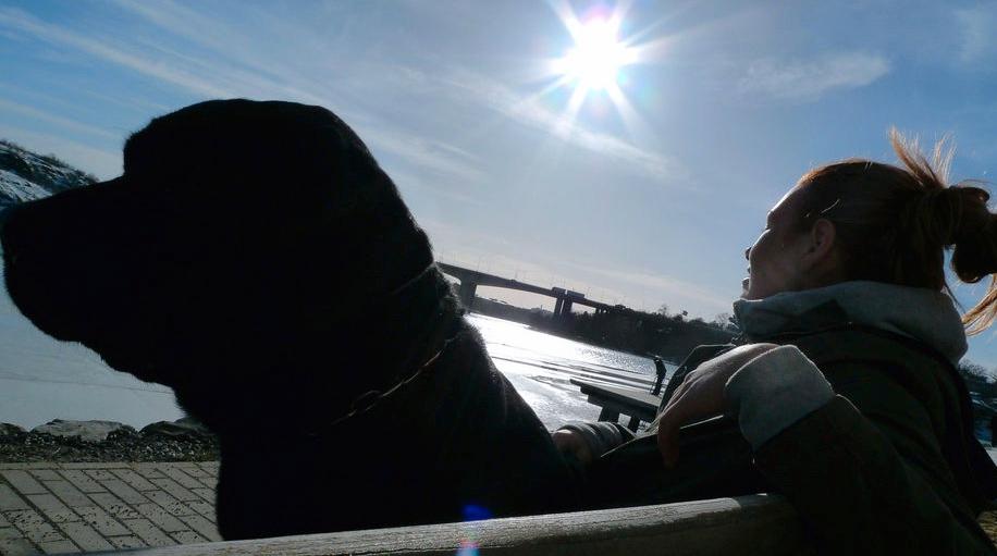 Labradoren Selma och matte Anna njuter av solen på Lilla Essingen i Stockholm på lördagen. Foto: Scanpix