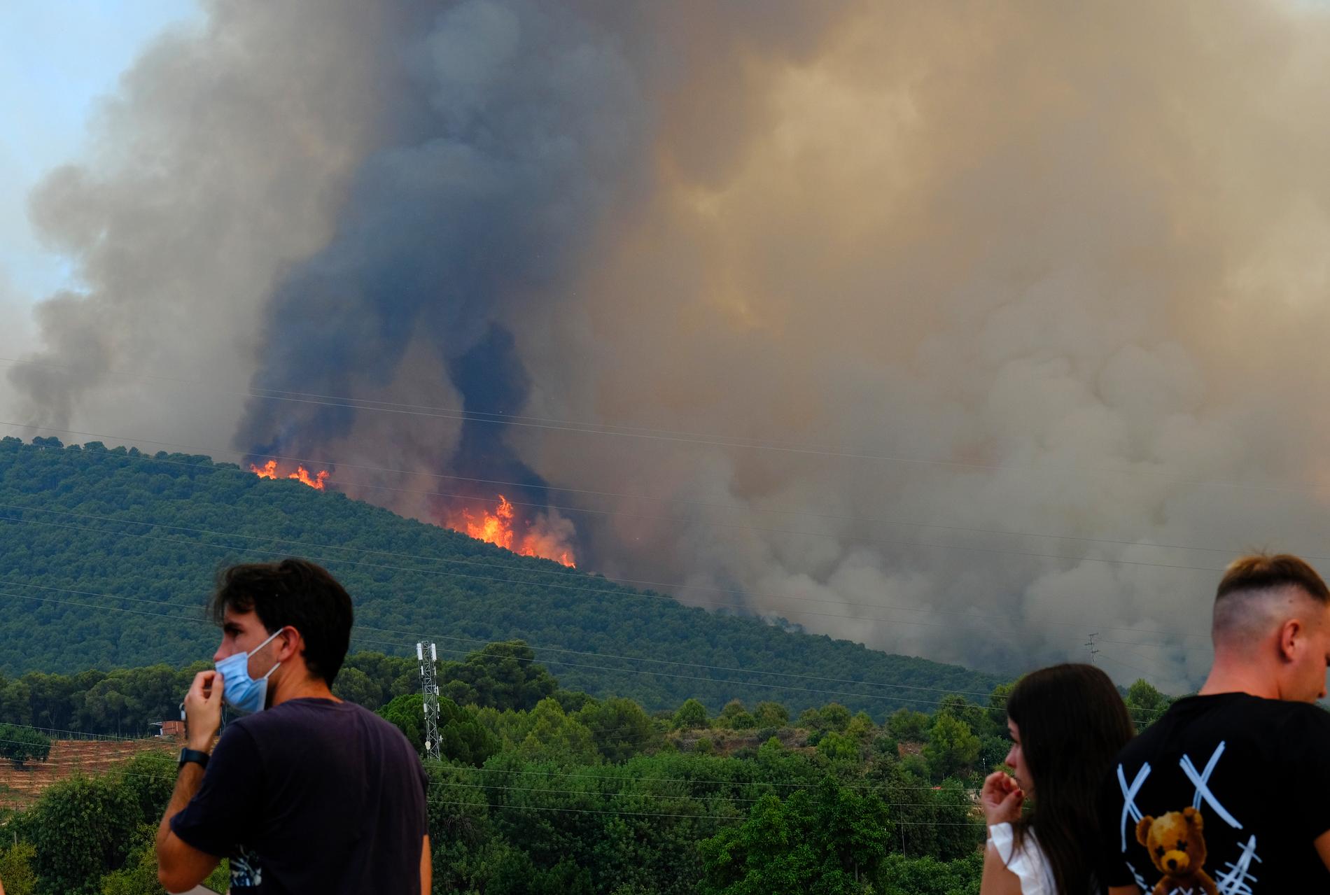 I Mijas, några mil från Málaga i Spanien, pågår en omfattande brand som tvingat över 3 000 människor att lämna sina hem.