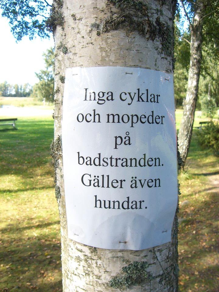 På en av badstränderna i Mariestad är det förbjudet för hundar att cykla och köra moped...