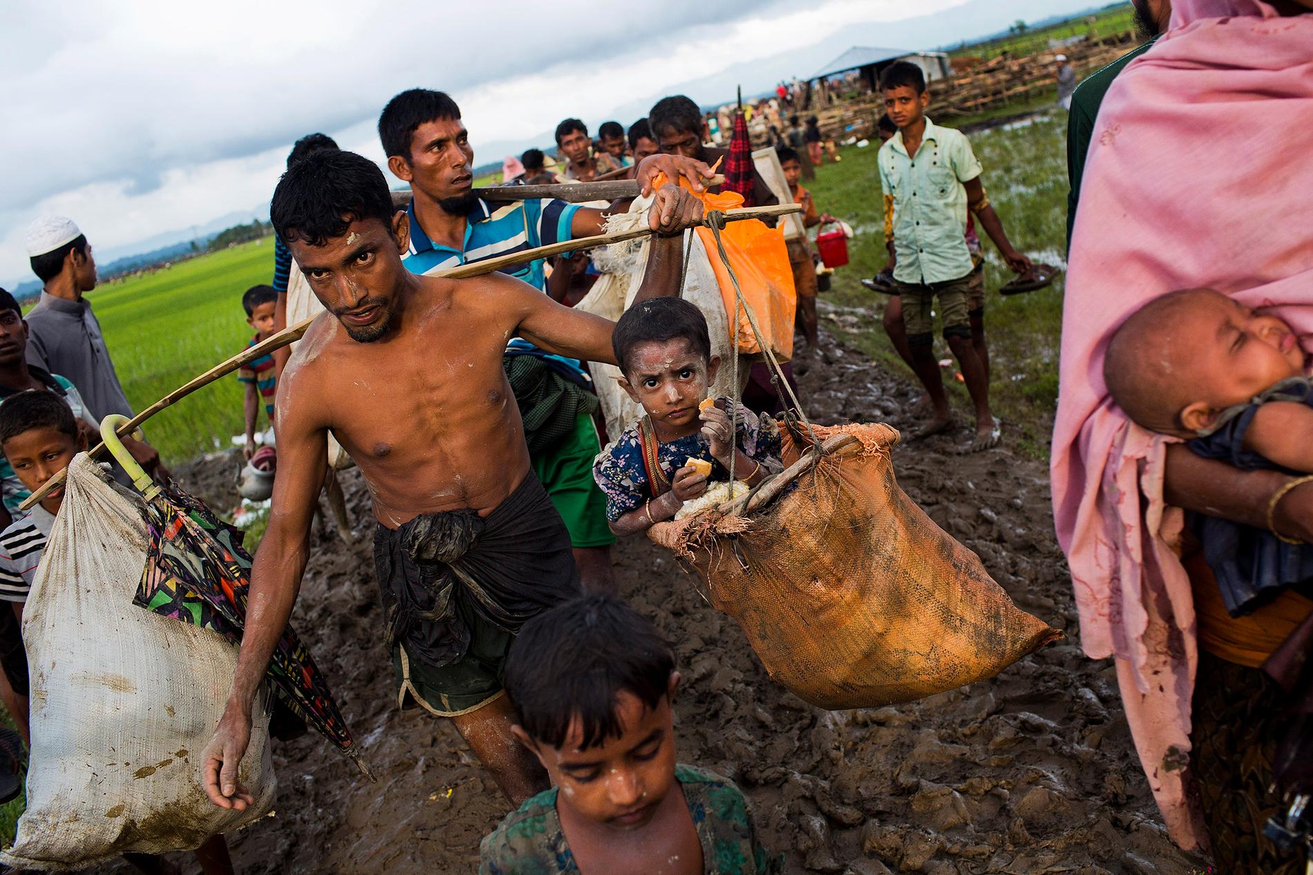 Rohingyas korsar risfält för att försöka ta sig över till Bangladesh.