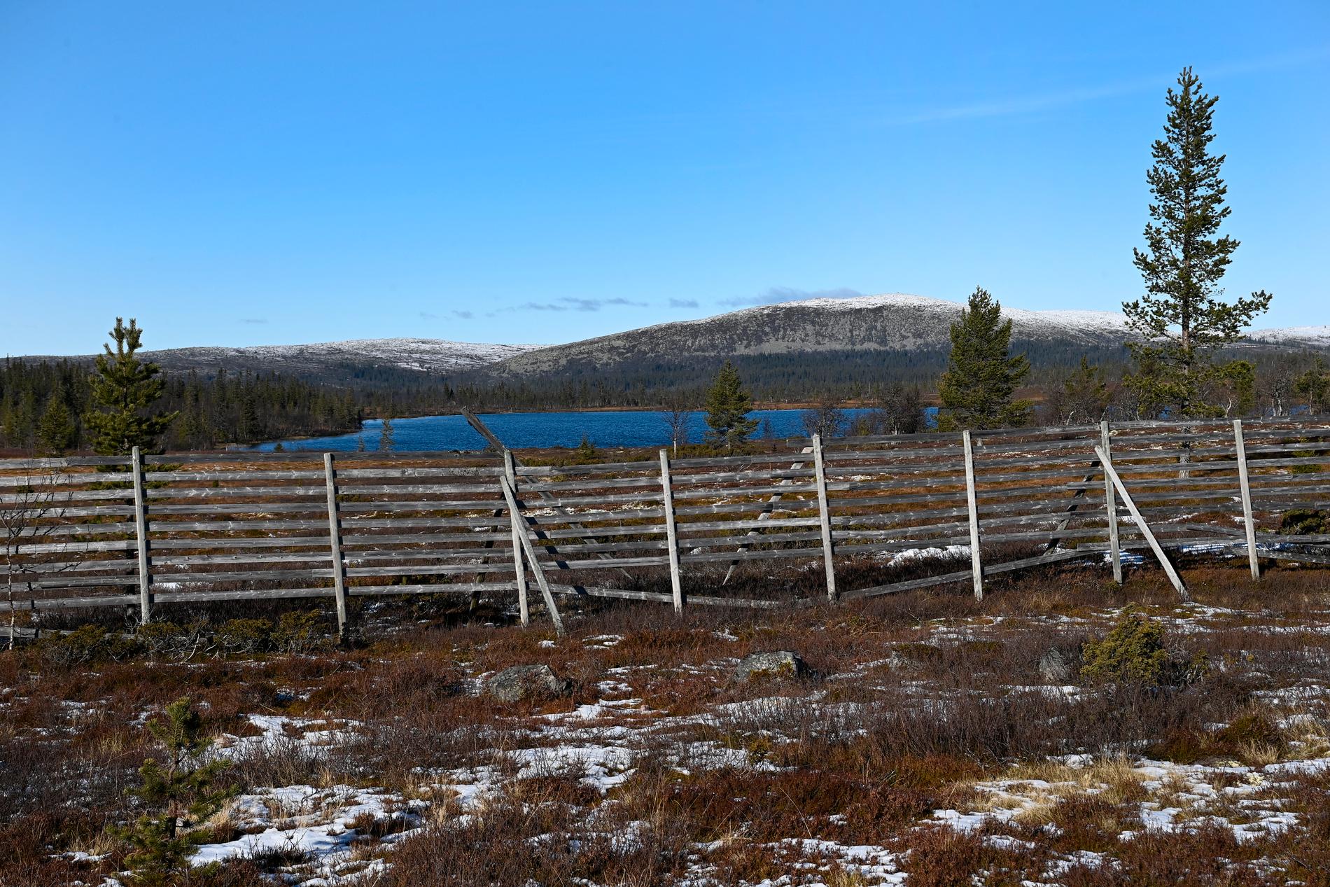 De senaste 30–40 åren har konflikterna i Sápmi blivit intensivare, enligt Peter Sköld, professor i historia och samisk kultur vid Umeå universitet.