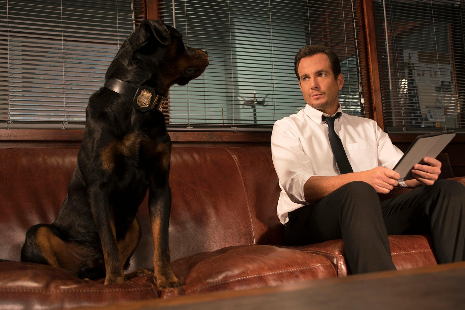 Hunden Max och Will Arnett som polispar.
