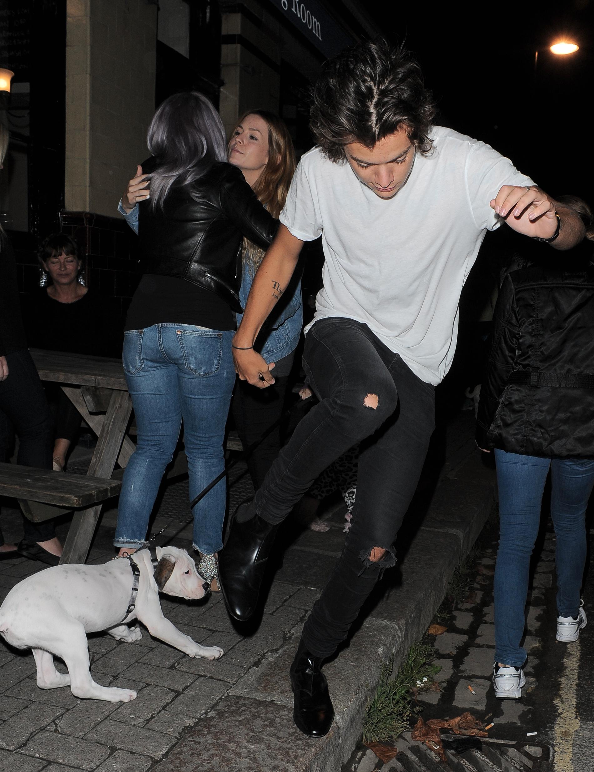 Harry dansar med hundvalp  En gulligare dans har nog aldrig skådats