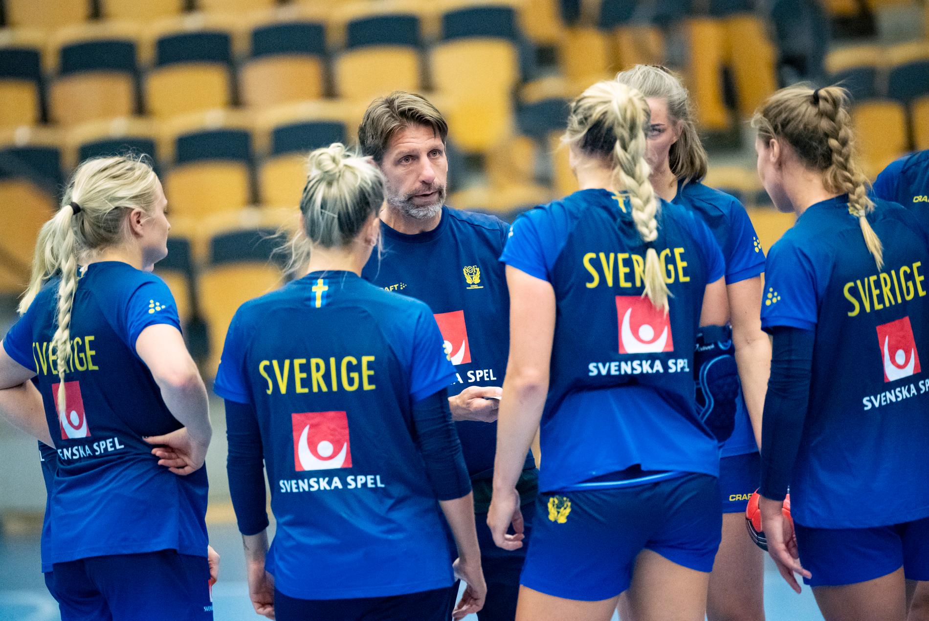 Minksmittan i Danmark gör att de svenska handbollsdamerna står utan spelplats i EM. 