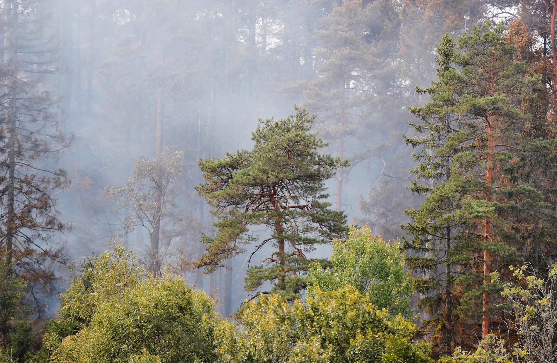 Larm om bränder i skog och mark har ökat med 82 procent i april.