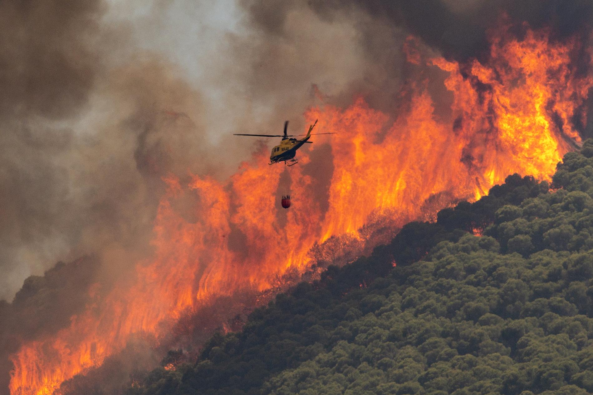 Över 1 000 personer har evakuerats från sina hem efter de våldsamma skogsbränderna nära Malaga.