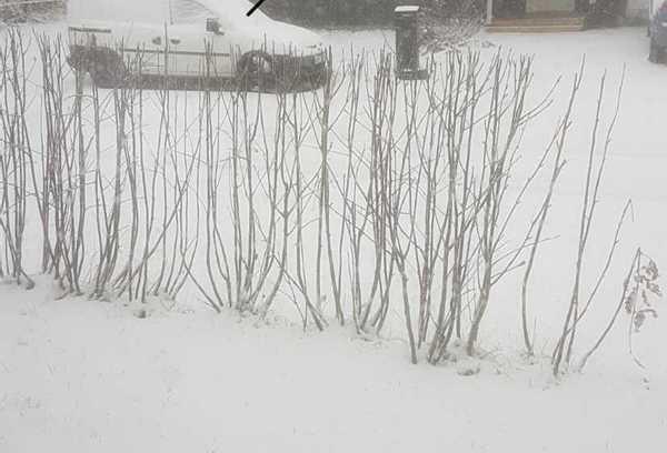Begynnande snötäcke i Kiruna.