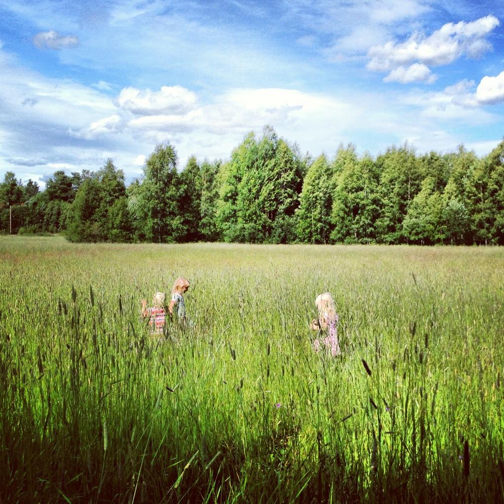 Sommar i Dalarna. Barnen leker kuragömma i det höga gräset, en härlig sommardag i Vallerås/Malung.