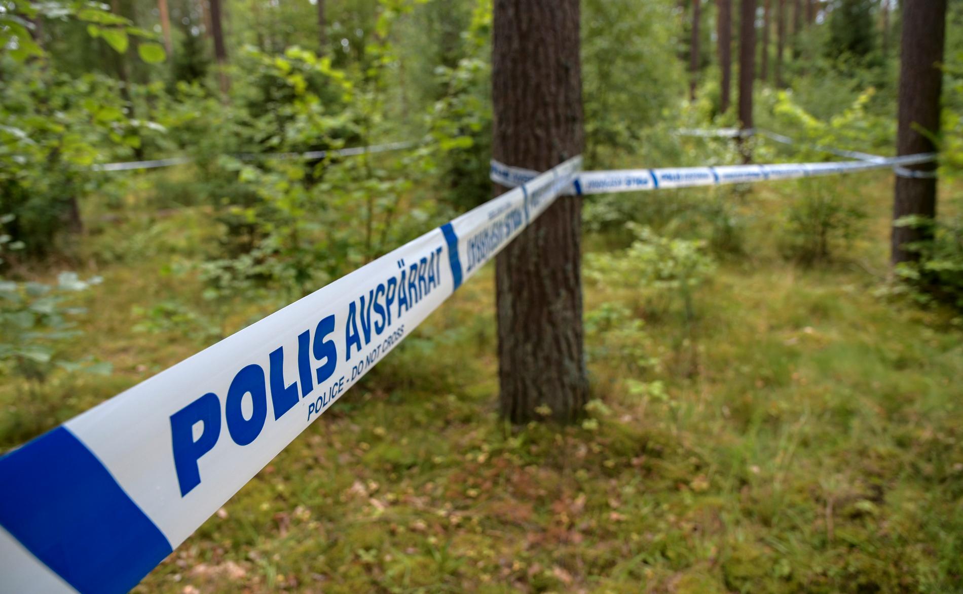 Svampplockare hittade skelettdelar på Ivö i Kristianstads kommun sommaren 2017. Nu har den döde identifierats. Arkivbild.