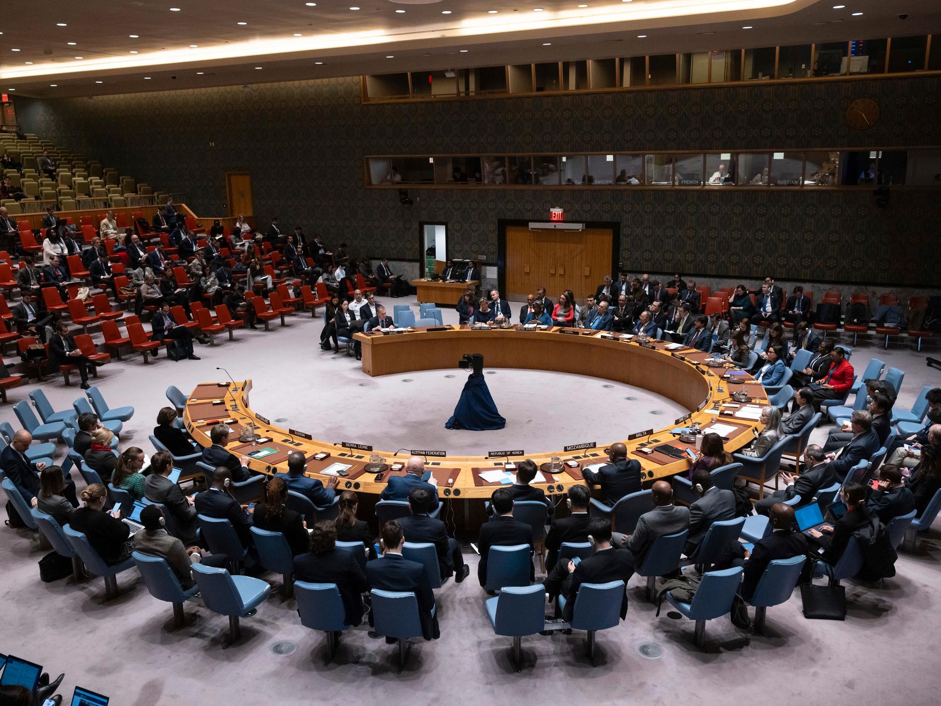 FN:s säkerhetsråd håller krismöte