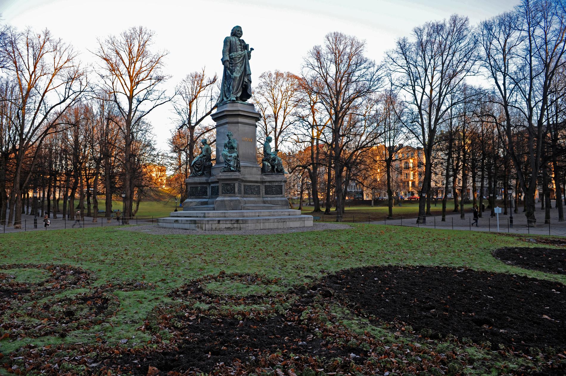 Carl von Linné i Humlegården, Stockholm.