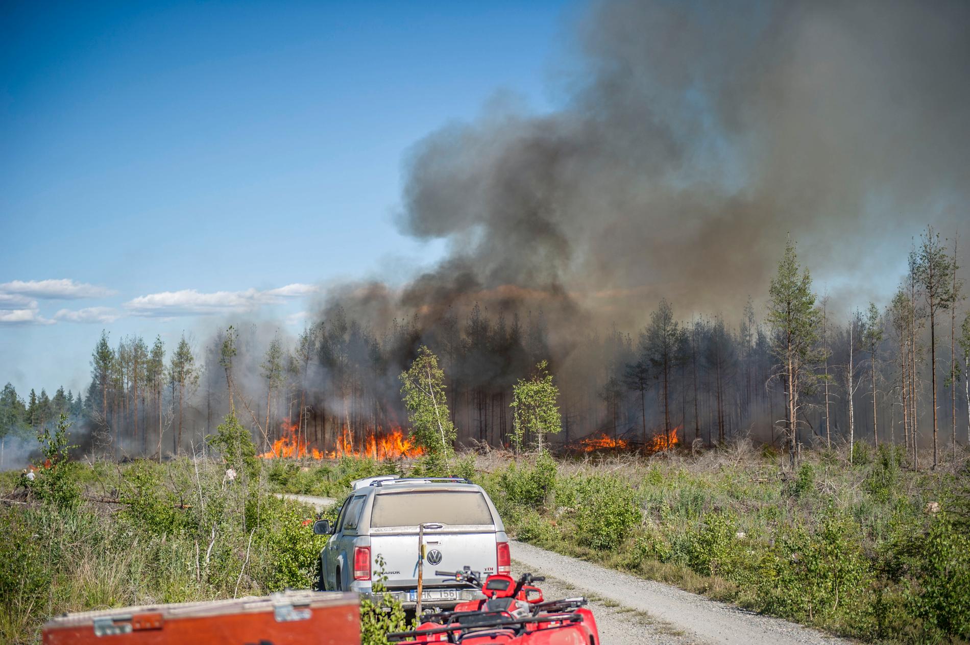 Skogsbrand i Västmanland utanför Rörby, tidigdare under sommaren. 