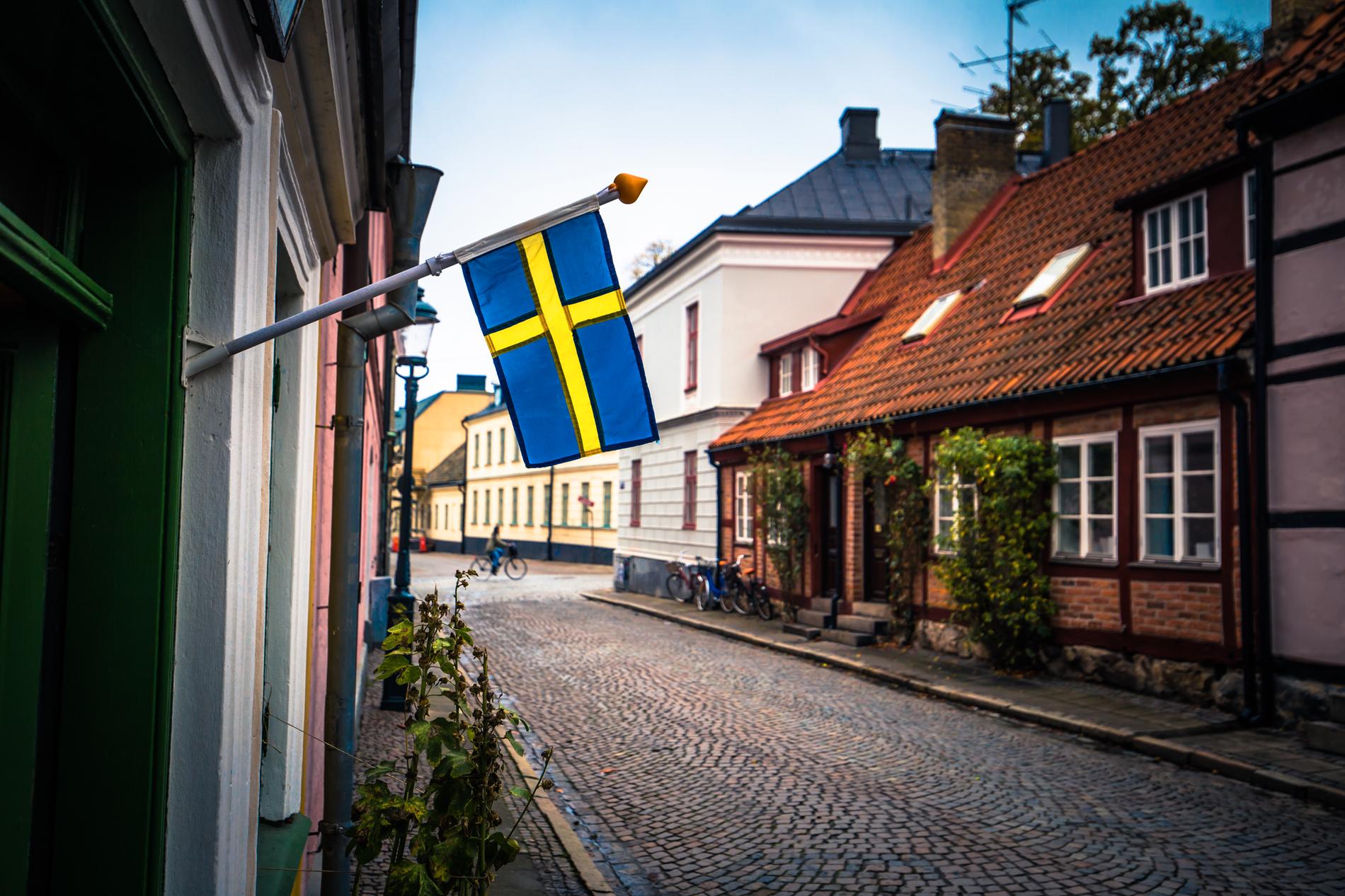 Svenska hushåll är extra räntekänsliga jämfört med i andra länder, menar Robert Bergqvist.