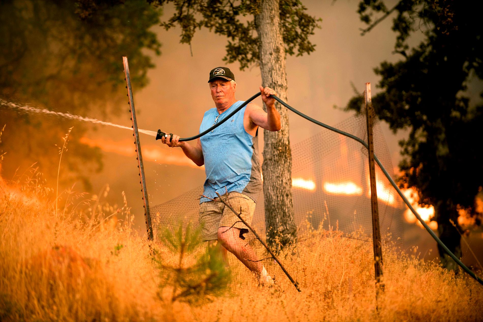 Jim Berglund sprutar vatten för att skydda sitt hem nära Oroville, Kalifornien. Över 2000 brandmän kämpar med att släcka skogsbränder som härjar i delstaten.
