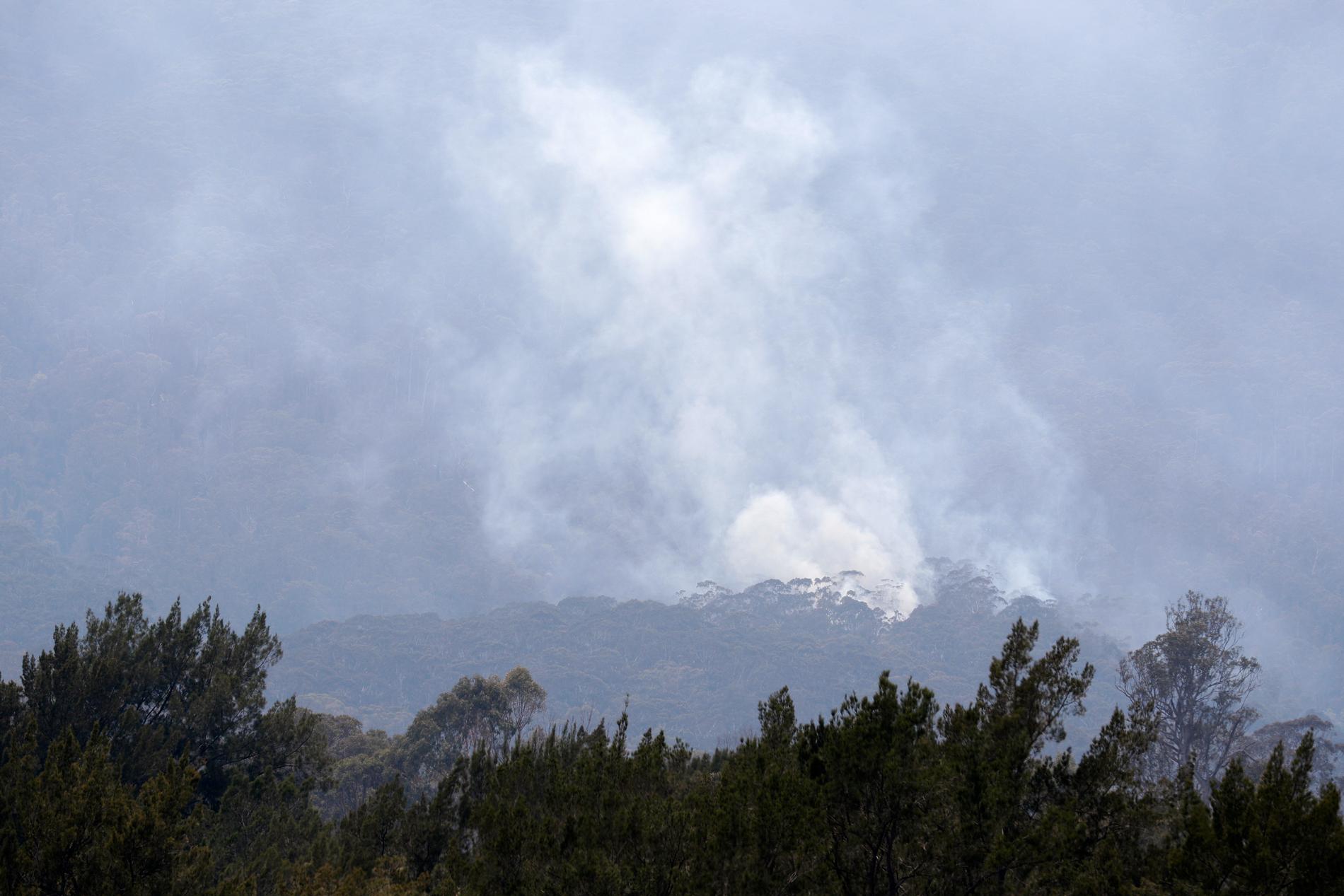 Rök från en brand utanför Cobargo i New South Wales i söndags. Regnoväder har fått flera bränder att avta i styrka.