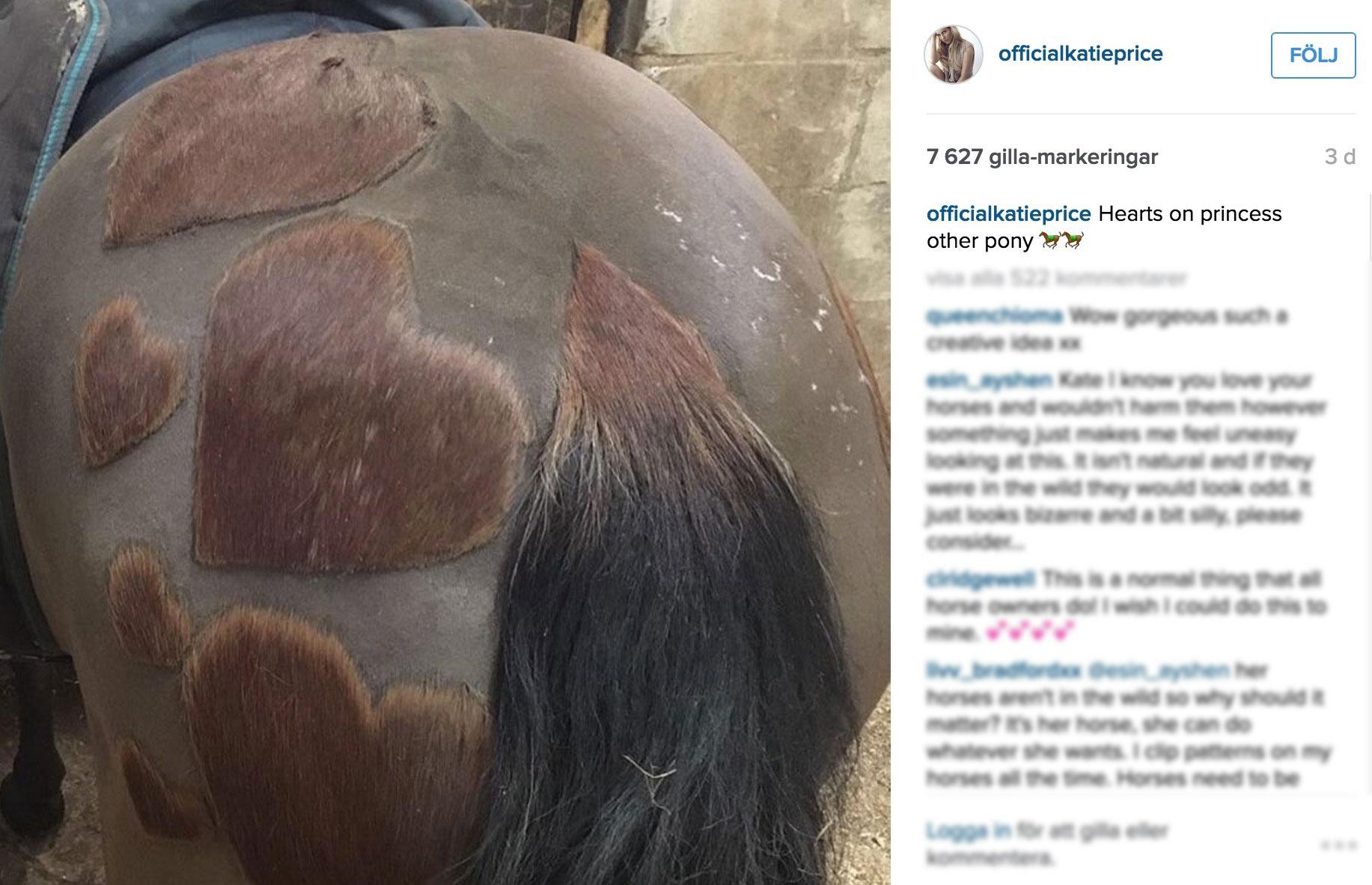 Katie Prices bild på Instagram där hon ”piffat till” sin dotters häst.