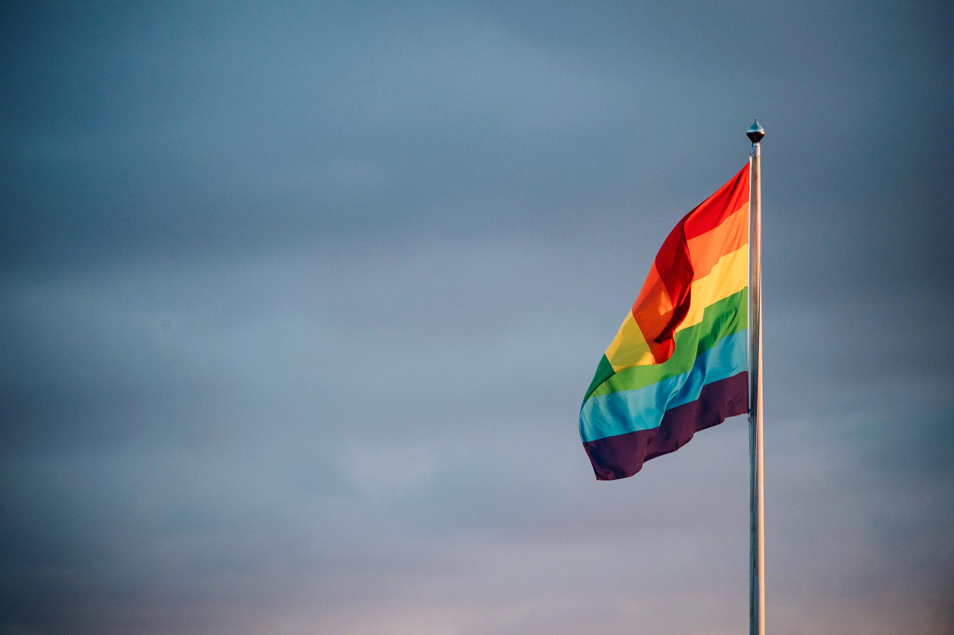 Pride-veckan har avslutats. Högernationalismen pressar tillbaka hbtq-rättigheter runt om i världen, även i Sverige. 
