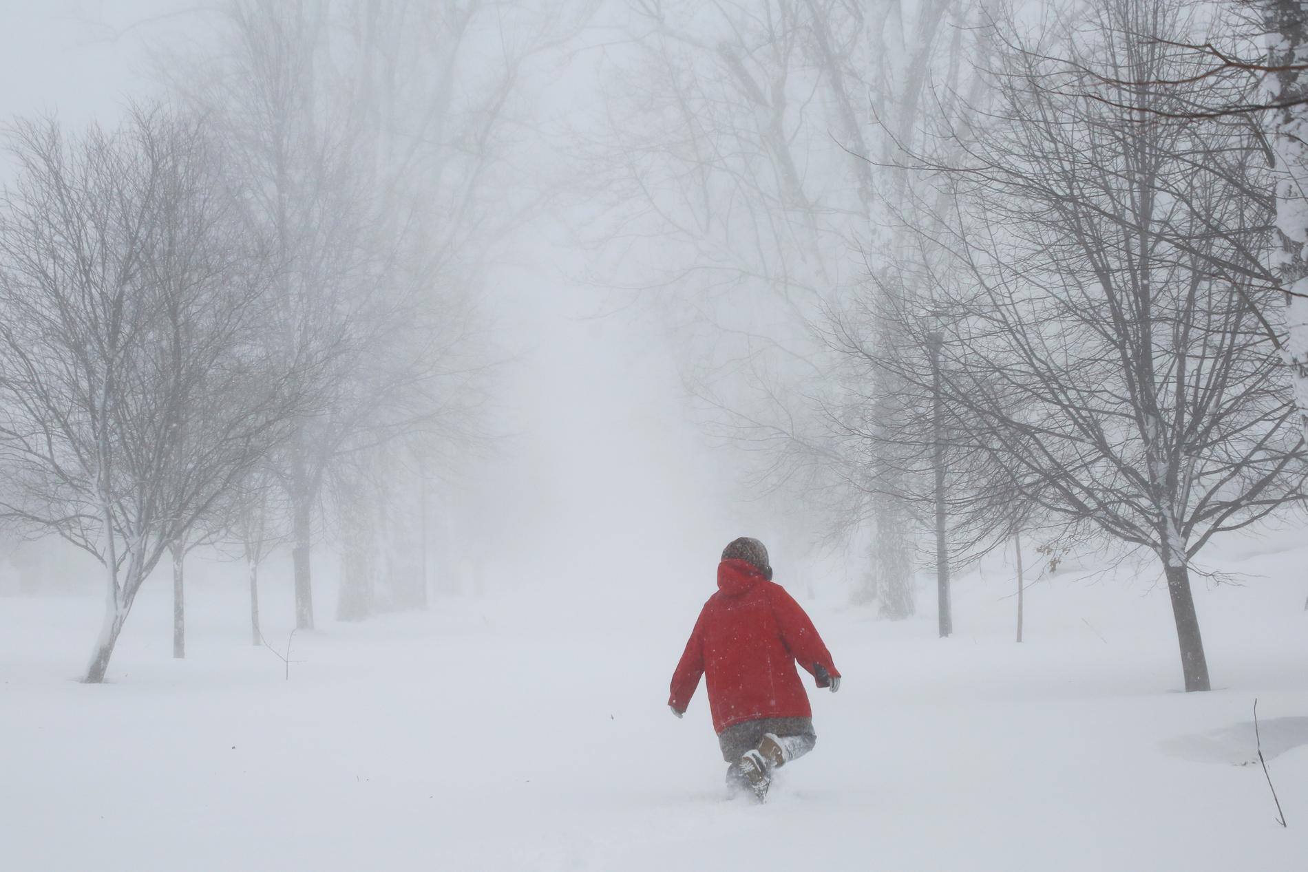 Mellan torsdagen och söndagen har över 196 centimeter snö fallit i staden Buffalo och delstaten New York.