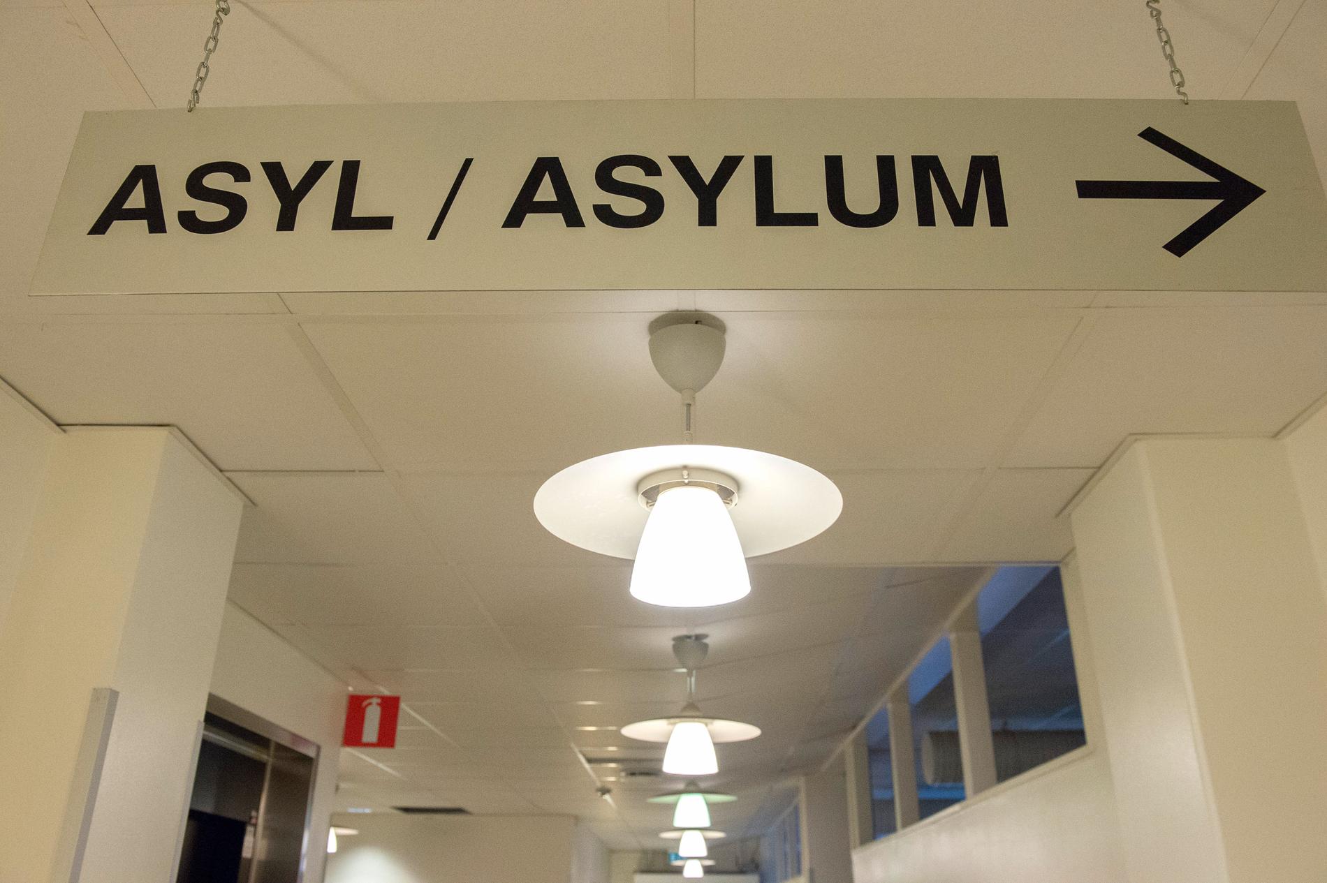 Migrationsverket dömer ut den statliga utredningen om asylmottagande. Arkivbild.