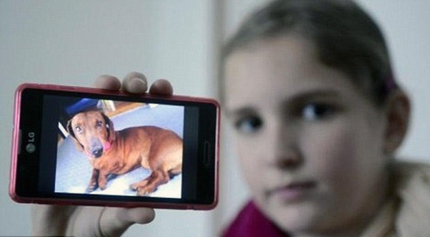 Nikolina Vucetic håller upp en bild på hunden Leo som räddade henne från en annan hund