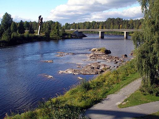 Byskeälvens fiskevårdsområde Västerbottensdelen har beslutat att sluta sälja fiskekort – på grund av framför allt den höga vattentemperaturen.