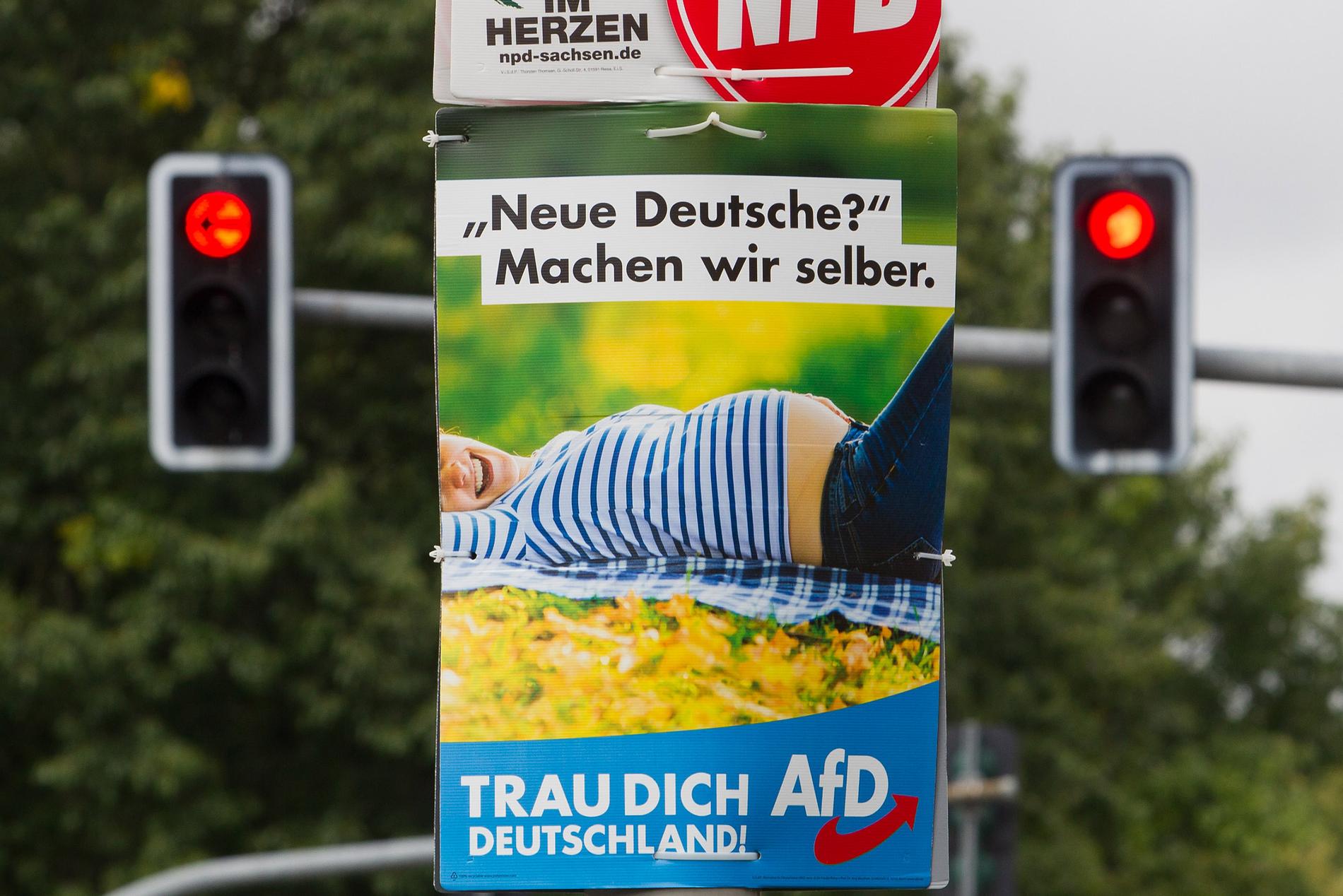 AfD:s affisch: ”Nya tyskar? Vi gör oss själva.”. 