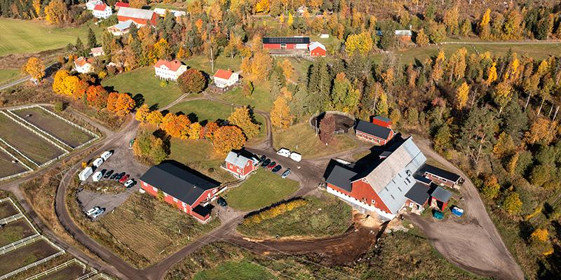 Robert Berghs gård i Töva, Sundsvall, som snart kommer att läggas ut till försäljning. 