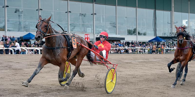 Fjolårets Derbyvinnare Joviality är bästa svenska chansen i Prix d’Amérique, enligt experten Anders Lindqvist. 