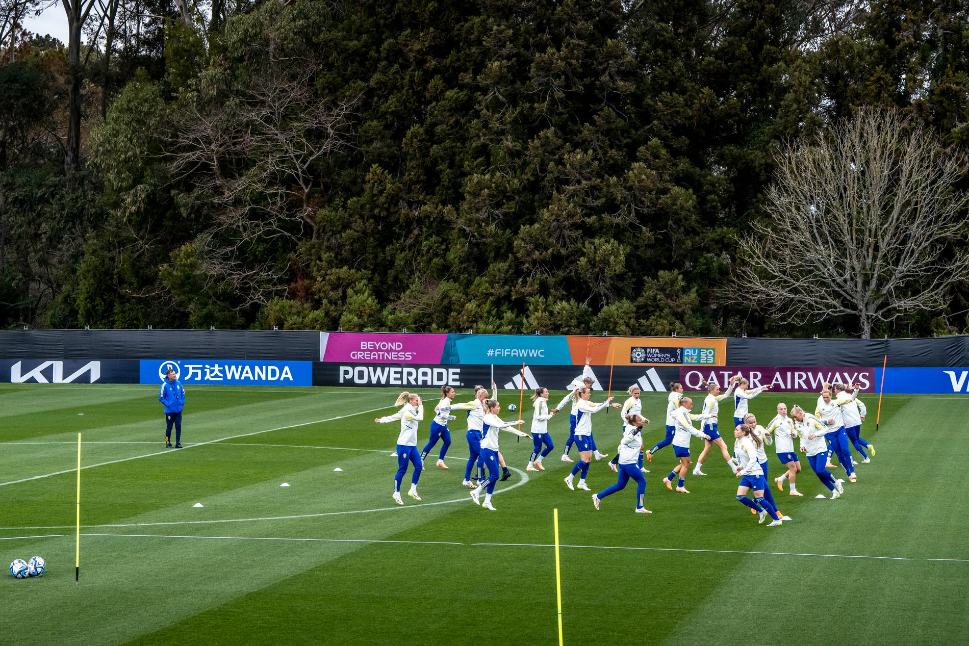 Landslagets träning på Nya Zeeland inför onsdagens match mot Argentina. 