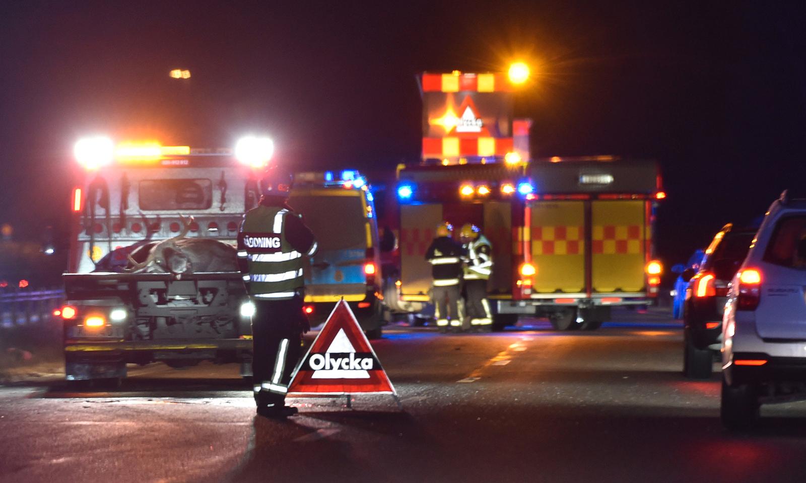 Viltolycka med en älg på RV53 mellan Nyköping och Oxelösund. En person fick föras till sjukhus och älgen fraktades bort på flak.