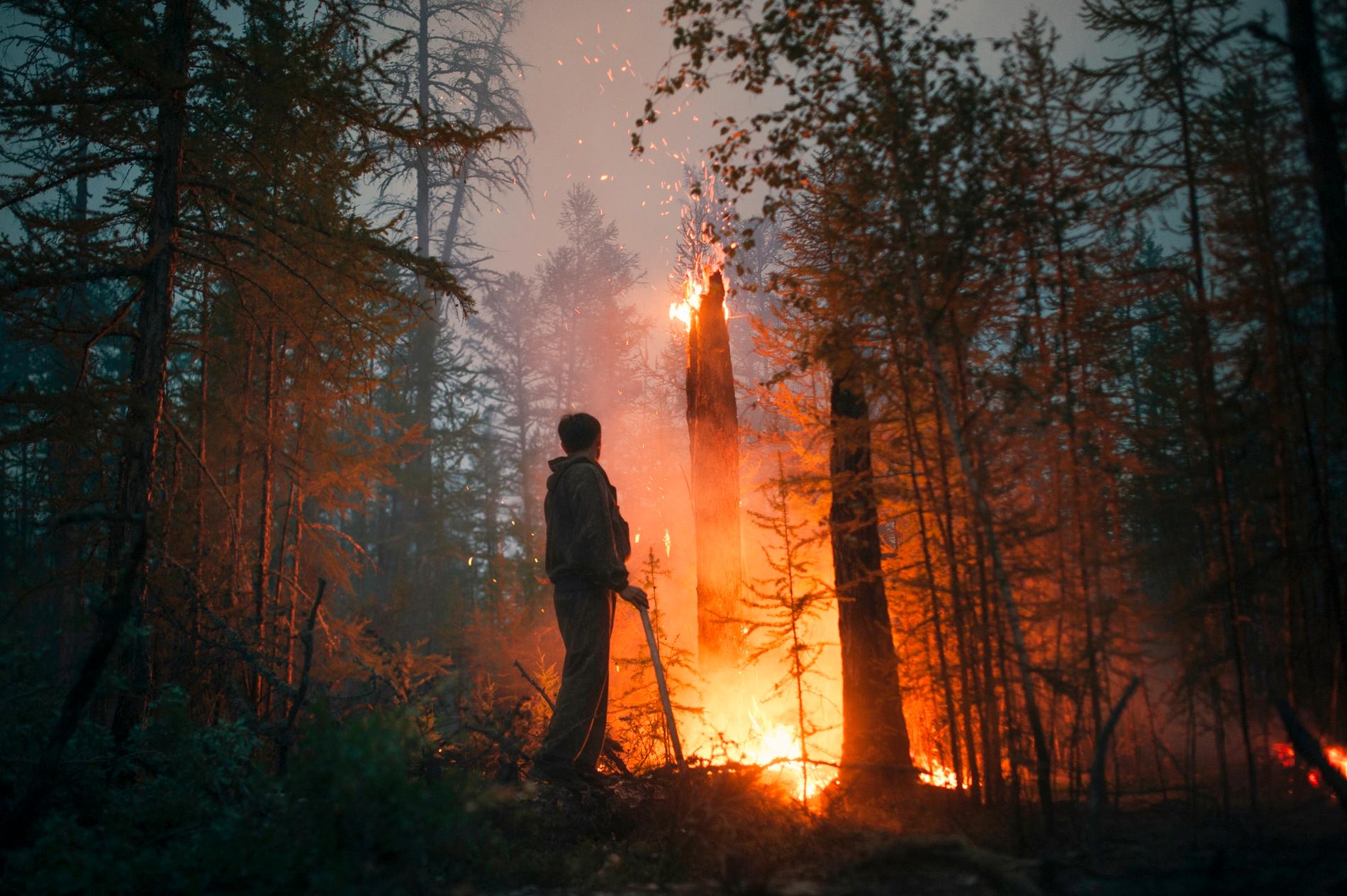 Enorma bränder härjar sedan flera veckor tillbaka i nordöstra Sibirien. På bilden övervakar en frivillig brandman elden i distriktet Gorny den 22 juli.