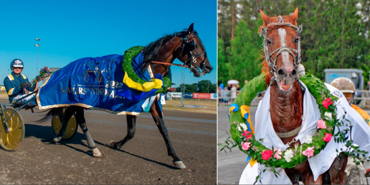 De två sista hästarna in i Hugo Åbergs Memorial blev Click Bait och Vernissage Grif. 